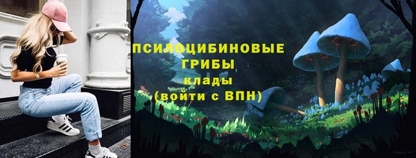 ПСИЛОЦИБИНОВЫЕ ГРИБЫ Балахна
