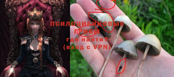 сатива Баксан